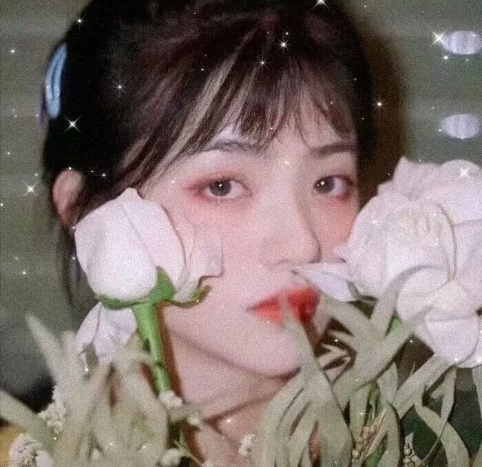 罗马的房子