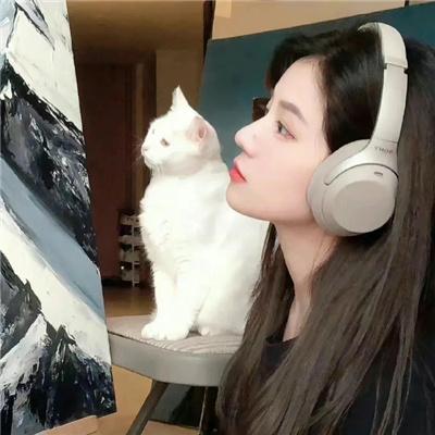 龙形拳之无敌陈小婉